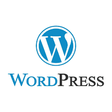 WordPress Development services in Mumbai Thane Mumbra
